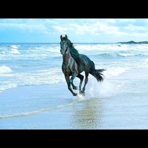 Meet your Posher, Kelley